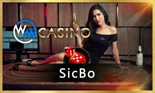 How to Play Online Bingo at ph365